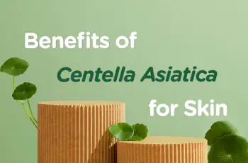 The Power of Centella Asiatica: Skin Benefits You Should Know