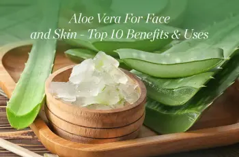 Why Aloe Vera Is a Must-Have in Your Skin Care Routine