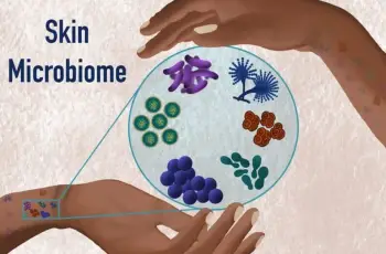 Exploring the Skin Microbiome: Benefits and Importance