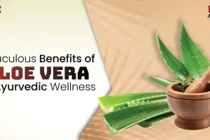 How Aloe Vera Can Transform Your Skin