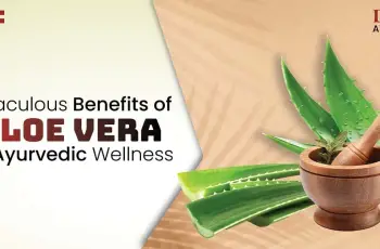 How Aloe Vera Can Transform Your Skin