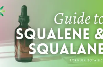 Squalene vs. Squalane: What’s the Better Skincare Alternative?