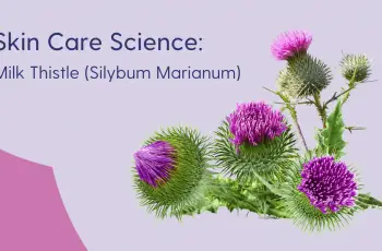 The Science of Milk Thistle Extract in Skin Care