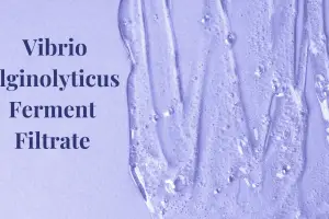 Vibrio Alginolyticus Ferment Filtrate in Skincare