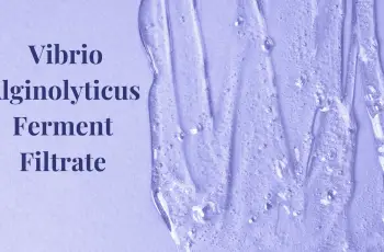 Vibrio Alginolyticus Ferment Filtrate in Skincare