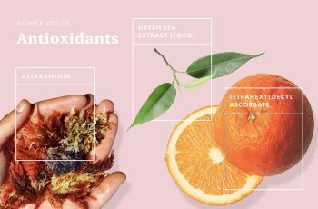 Antioxidant Ingredients Dictionary for Skin Care