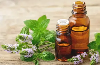 Peppermint oil for skin: The benefits and risks