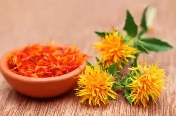 Safflower Oil for Skin: Uses and Benefits