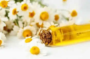 What Are the Potential Skin Benefits of Chamomile?