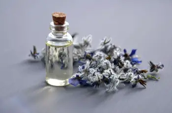 The Benefits of Borage Seed Oil for the Skin