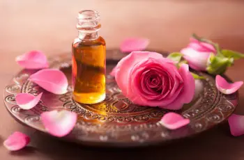 Rose Essential Oil Benefits: The Skin-Care Miracle