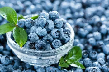 Vaccinium Myrtillus (Bilberry Seed Oil) Extract in Skin Care