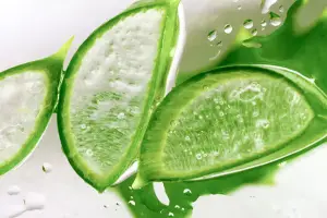 Aloe Vera as A Skin Care Ingredient