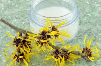 Witch hazel: Uses, benefits, and side effects