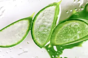 Aloe Vera as A Skin Care Ingredient