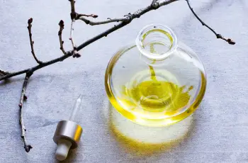 Skincare with Marula Oil: Safe, Effective, and Natural Skincare with Marula Oil: Safe, Effective, and Natural