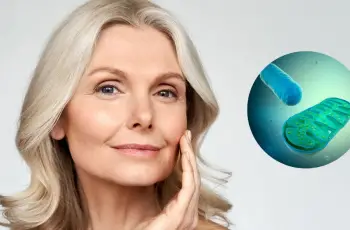 Mitochondria and Skincare: Protecting and Energizing Your Skin Mitochondria and Skincare: Protecting and Energizing Your Skin