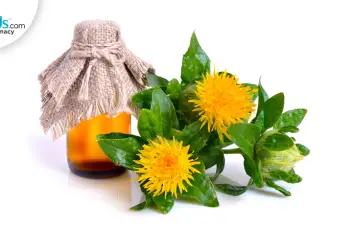 Safflower Oil in Skin Care: Benefits, Uses, and Safety
