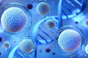 Expert Skin Care Guide: Stem Cells vs Exosomes Debate