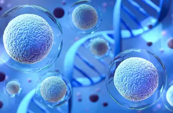 Expert Skin Care Guide: Stem Cells vs Exosomes Debate Expert Skin Care Guide: Stem Cells vs Exosomes Debate
