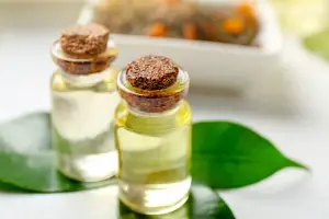 Tea Tree Oil for Acne, Eczema, and More: A Comprehensive Guide