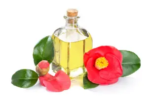 The Best Camellia Oil Skincare Products for Every Skin Type