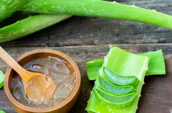 Aloe Vera in Skin Care: Healing Benefits and Safety Tips Aloe Vera in Skin Care: Healing Benefits and Safety Tips