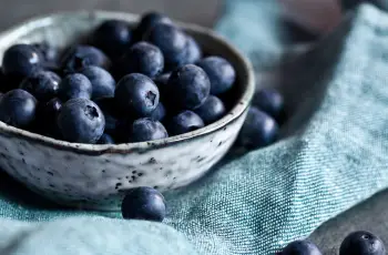 From Acne to Sun Damage: Why Bilberry Seed Oil Should Be in Your Skincare Routine From Acne to Sun Damage: Why Bilberry Seed Oil Should Be in Your Skincare Routine