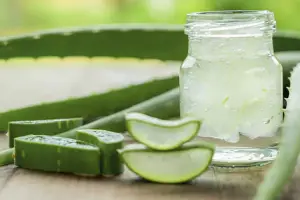 Aloe Vera in Skincare: Nature’s Soothing, Healing, and Hydrating Miracle