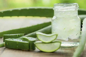 Aloe Vera in Skincare: Nature’s Soothing, Healing, and Hydrating Miracle