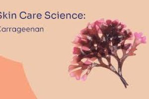 What Is Carrageenan in Skin Care? Uses, Benefits & Side Effects