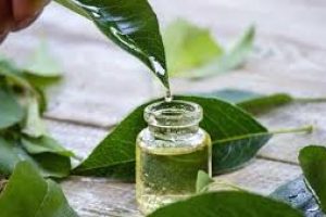 Tea Tree Oil for Back Acne: Natural Help or Hype?
