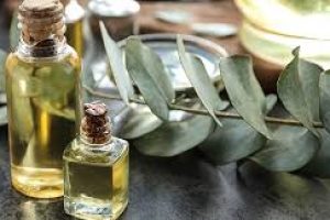 Eucalyptus Oil in Skin Care: Benefits, Risks, and Uses
