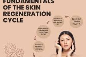Exfoliation vs. Desquamation: How Skin Naturally Renews and Glows