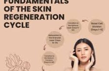 Exfoliation vs. Desquamation: How Skin Naturally Renews and Glows