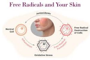 The Truth About Free Radicals: How to Protect Your Skin from Oxidative Stress