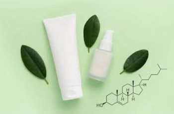 Beta-Sitosterol in Skincare: The Vegan Cholesterol for Barrier Repair and Anti-Aging