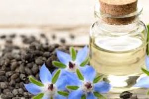 Borage Seed Oil in Skincare: Benefits, Uses, and Best Skin Types