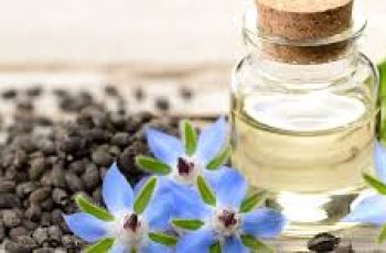 Borage Seed Oil in Skincare: Benefits, Uses, and Best Skin Types