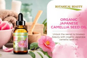 Camellia Japonica Seed Oil in Skincare: Hydration, Anti-Aging, and Skin Protection