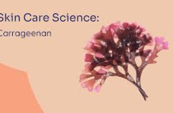 What Is Carrageenan in Skin Care? Complete Ingredient Guide