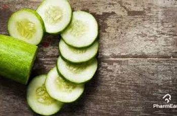 The Complete Guide to Cucumber Extract: Skin Benefits and Side Effects