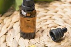Tamanu Oil for Acne-Prone Skin: Benefits, How to Apply, and What to Avoid