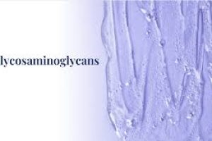 The Science Behind GAGs and Their Role in Skin Health