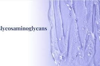 The Science Behind GAGs and Their Role in Skin Health The Science Behind GAGs and Their Role in Skin Health
