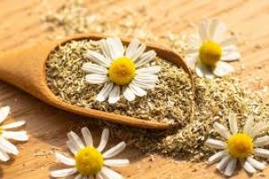 The Soothing Power of Chamomile for Your Skin