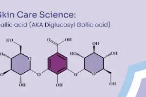 Gallic Acid and DGA: Brightening, Soothing, and Protecting Your Skin