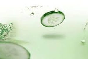 Cucumber Extract in Skincare: Soothing, Healing, and Refreshing Benefits