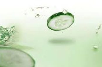 Cucumber Extract in Skincare: Soothing, Healing, and Refreshing Benefits
