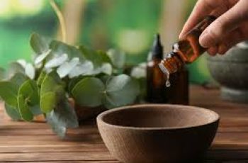 How Eucalyptus Oil Helps (and Hurts) Your Skin